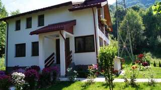 Дома для отпуска Cabana Nisipoasa Рыу-де-Мори Дом с 2 спальнями-43